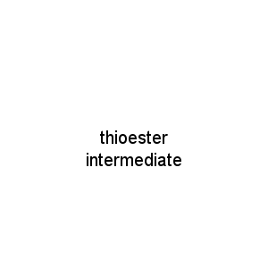 thioester intermediate